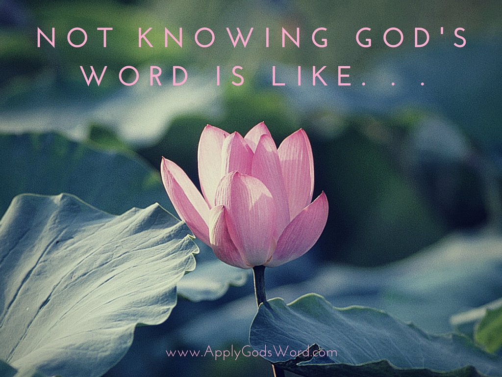 Not Knowing God s Word Is Like ApplyGodsWord