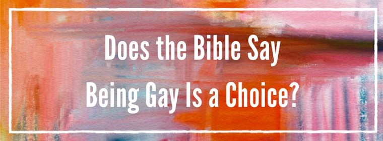 what does the bible say about gays