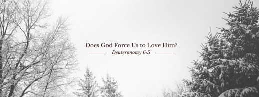 does-god-force-us-to-love-him-applygodsword