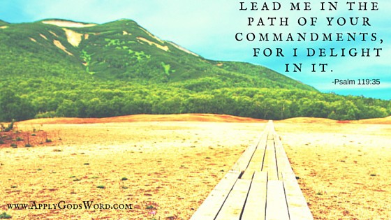 Lead me in the path of your commandments,