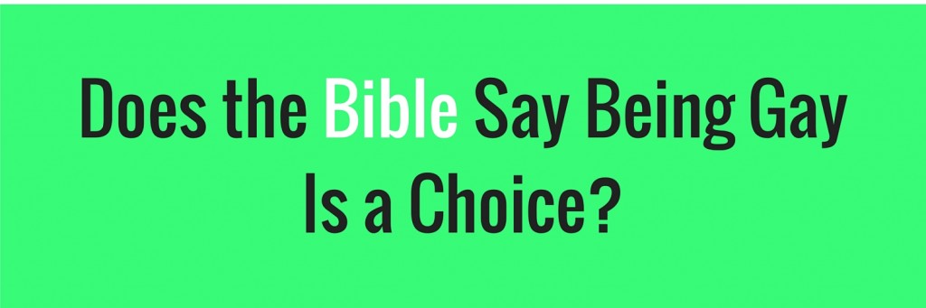 Gay + bible