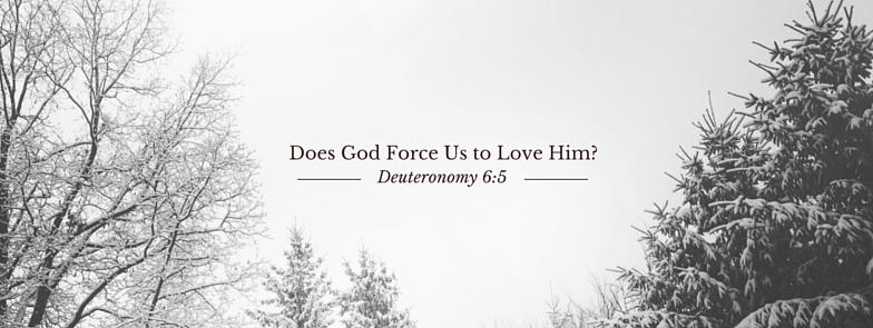 Does God Force Us to Love Him_ pic