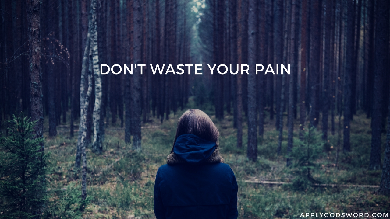 dont waste your pain