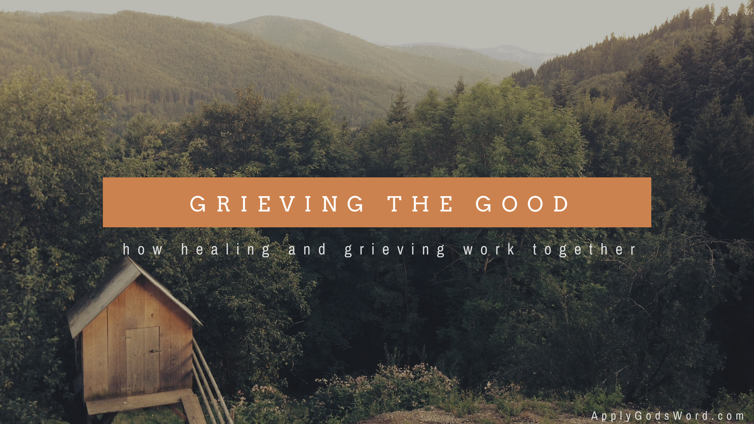 Grieving to Healing Bible