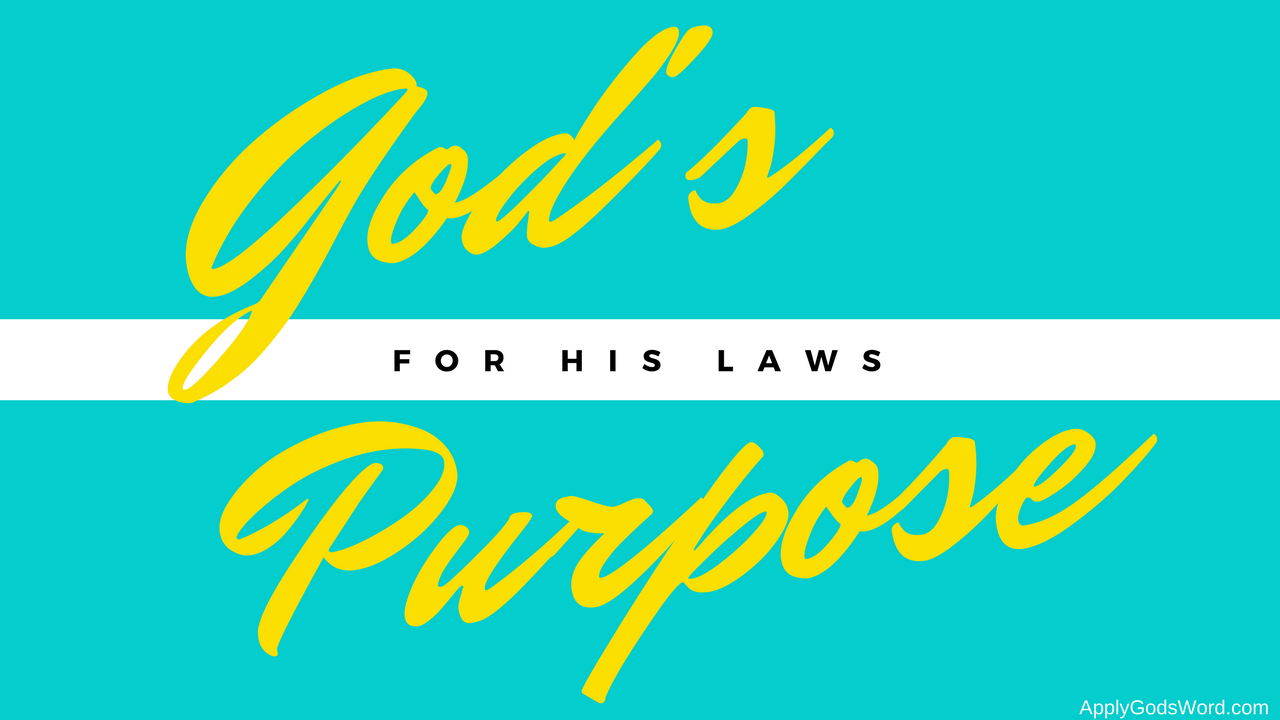 what-s-the-purpose-of-god-s-law-applygodsword