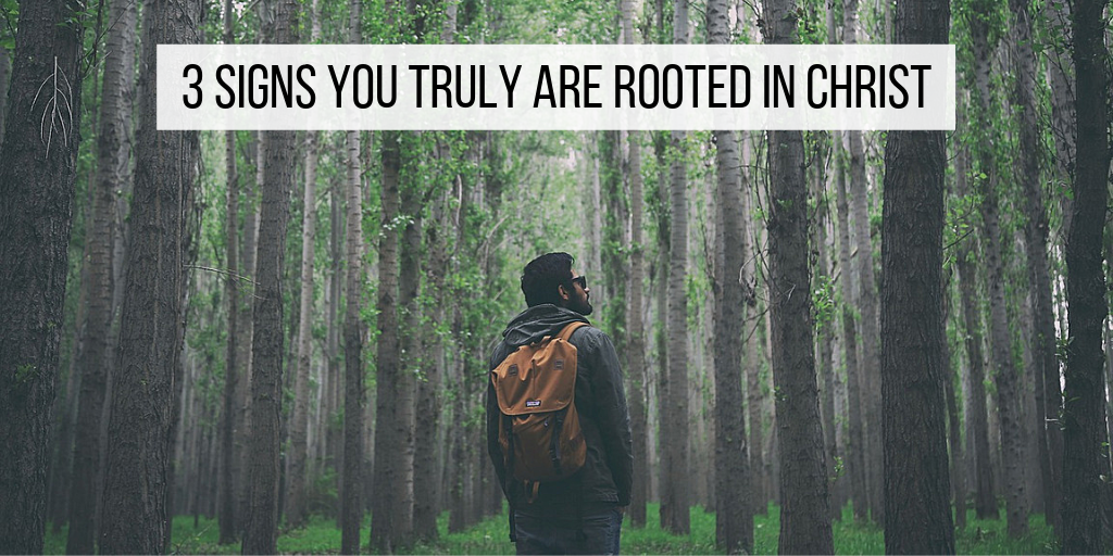 3 Signs You Truly Are Rooted In Christ ApplyGodsWord